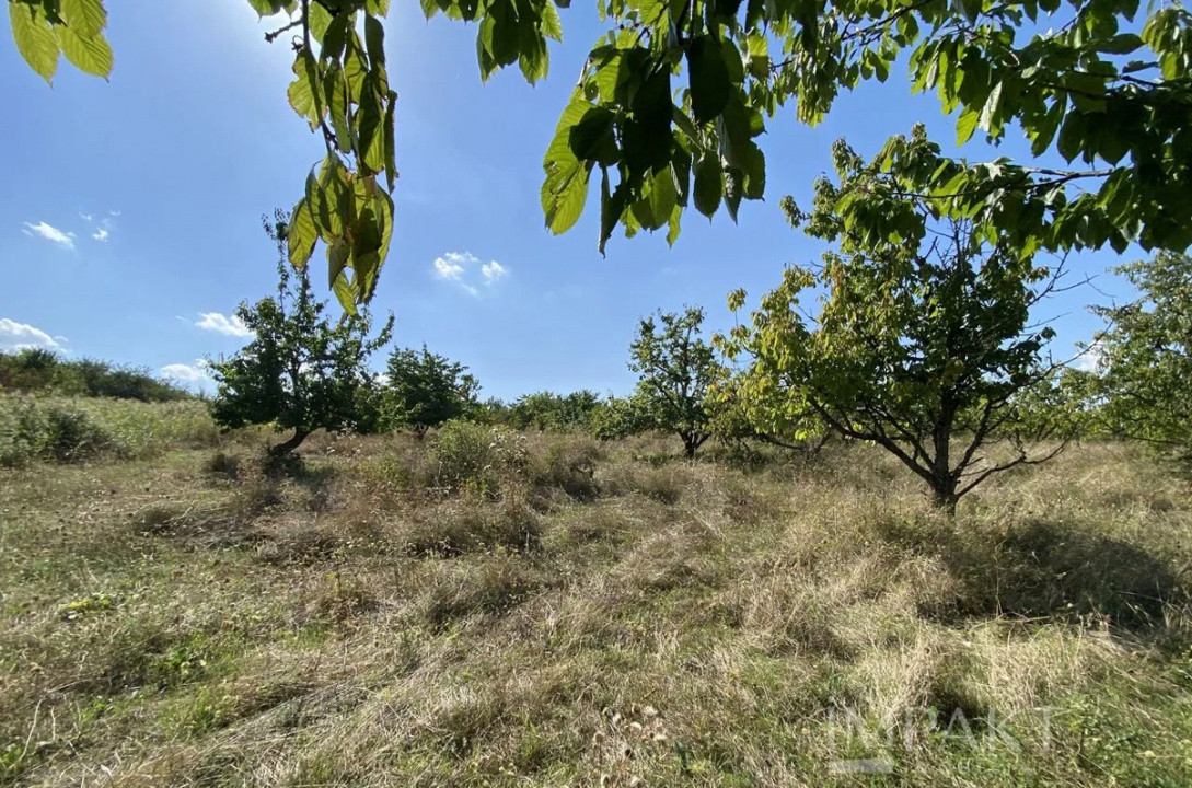  Terenuri de vânzare într-o locație exclusivistă din Cluj