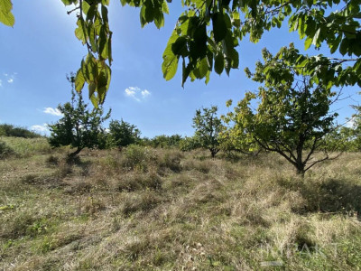  Terenuri de vânzare într-o locație exclusivistă din Cluj