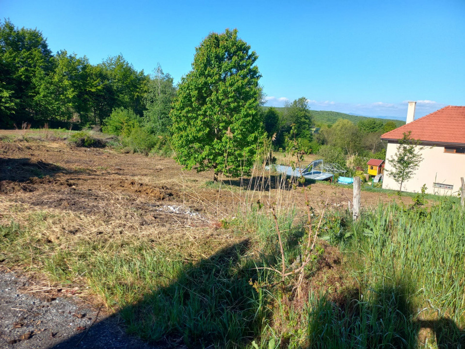 Teren autorizat Faget / Zona Vila Tusa / PUZ Aprobat