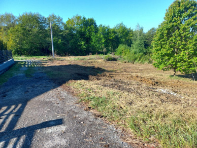 Teren autorizat Faget / Zona Vila Tusa / PUZ Aprobat