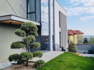 Proprietate rezidențială, cu două apartamente private, în Andrei Muresanu 