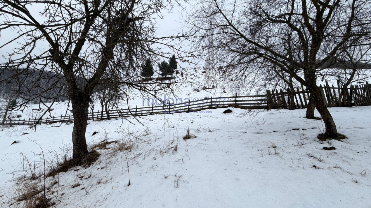 Teren cu panorama / Somesul Cald / Lacul Tarnita